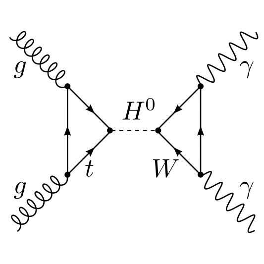A Feynman diagram of a Higgs boson decay channel.